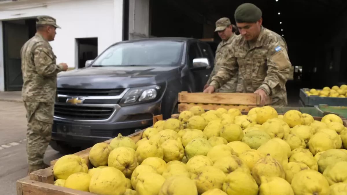 Cambiar membrillos por repuestos para una camioneta: así fue la llamativa licitación que lanzó el Ejército Argentino