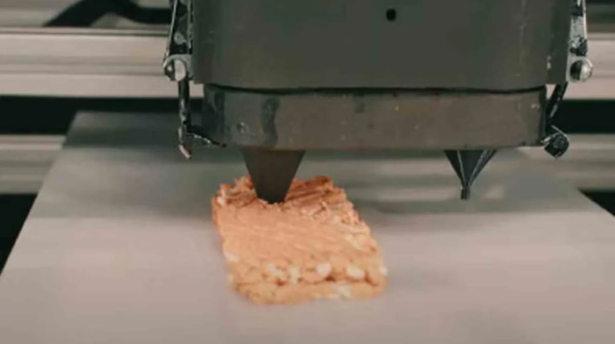 El filete de salmón a base de hongos de la impresora 3D. Foto: Revo Foods.