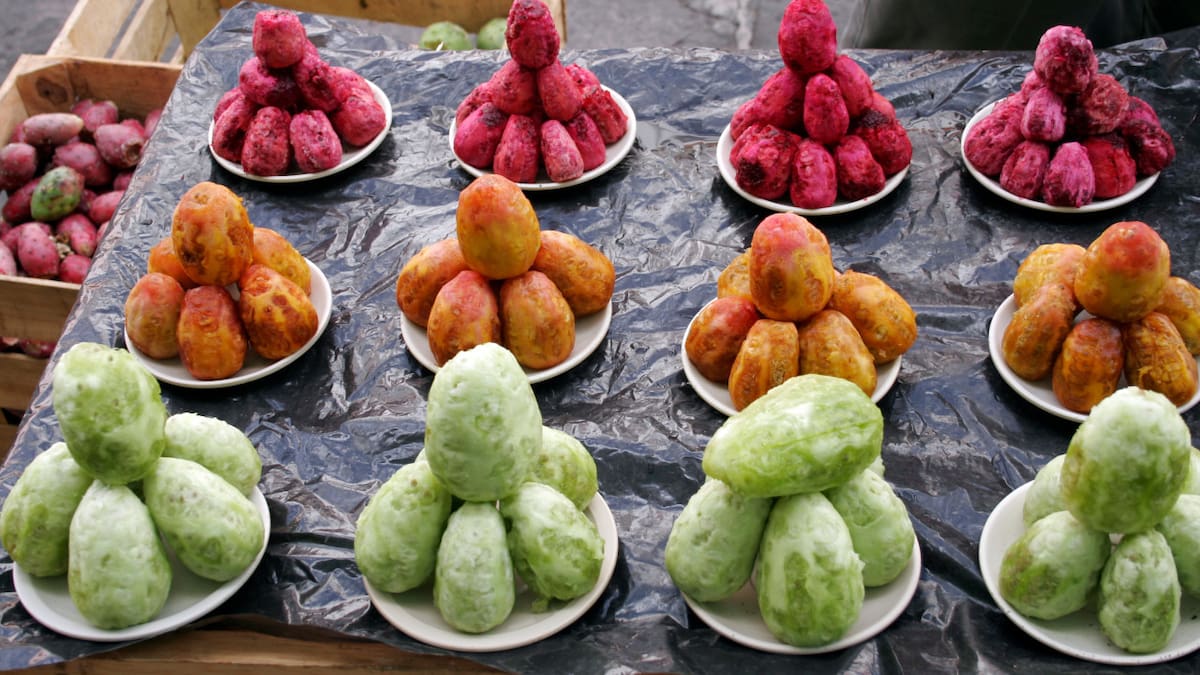 El fruto de tuna. Foto: Wikipedia.