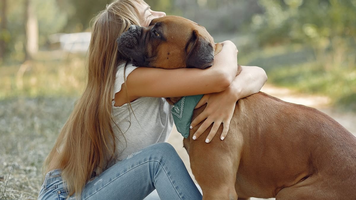 El gesto cariñoso que incomoda a los perros.