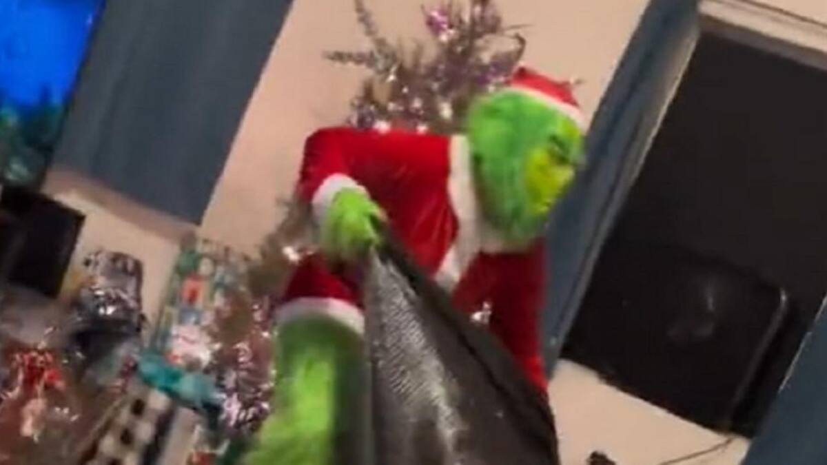 El Grinch. Foto: captura.