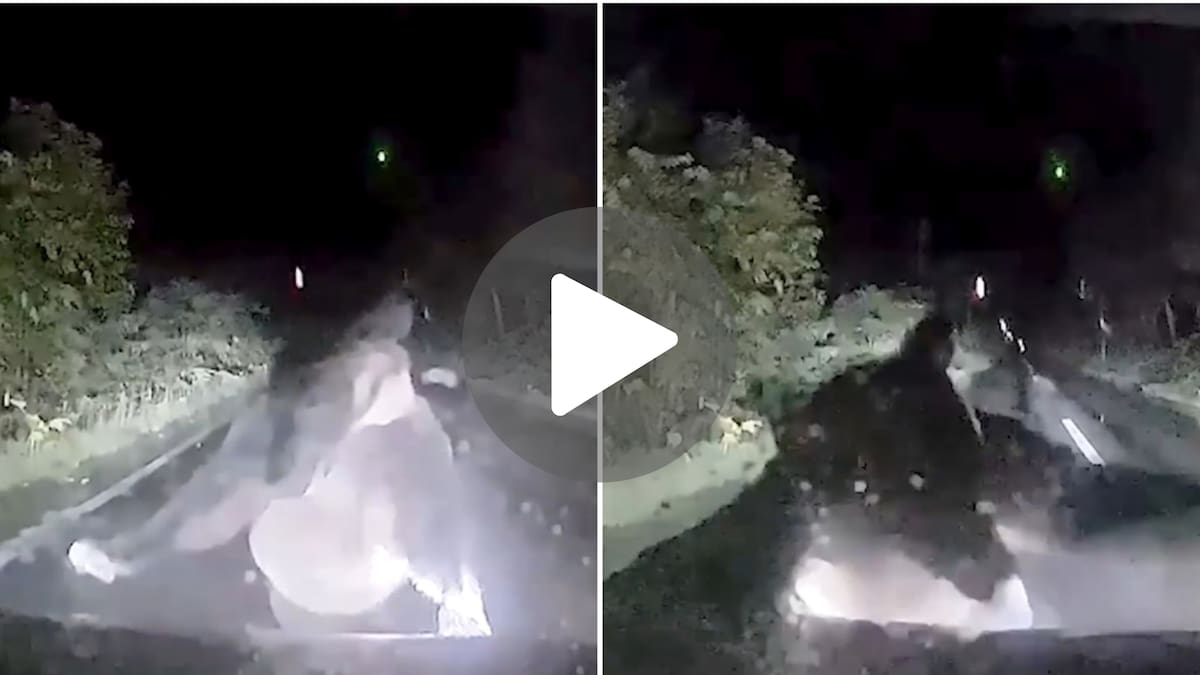 VIDEO IMPACTANTE: un oso pardo atacó un auto en plena ruta de Japón mientras el conductor estaba dentro y todo quedó registrado