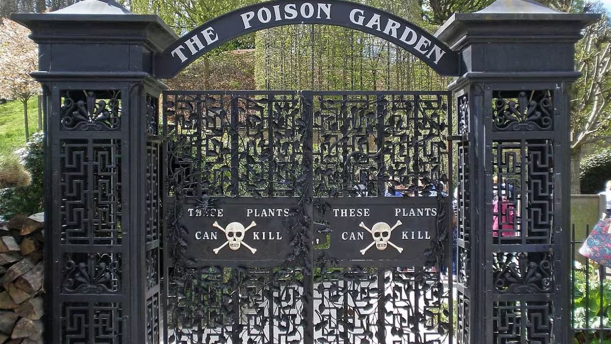 El jardín más peligroso del mundo está en un castillo inglés: tiene la planta más venenosa y conserva más de 100 especies tóxicas