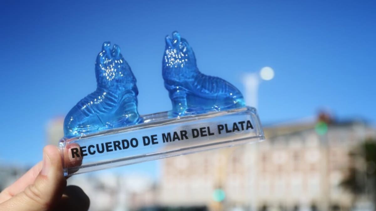 El “Lobito del Clima” de Mar del Plata.