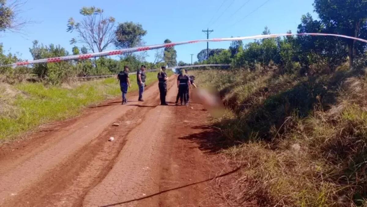 El lugar donde murió el hombre atacado por pitbull en Misiones. Foto: NA