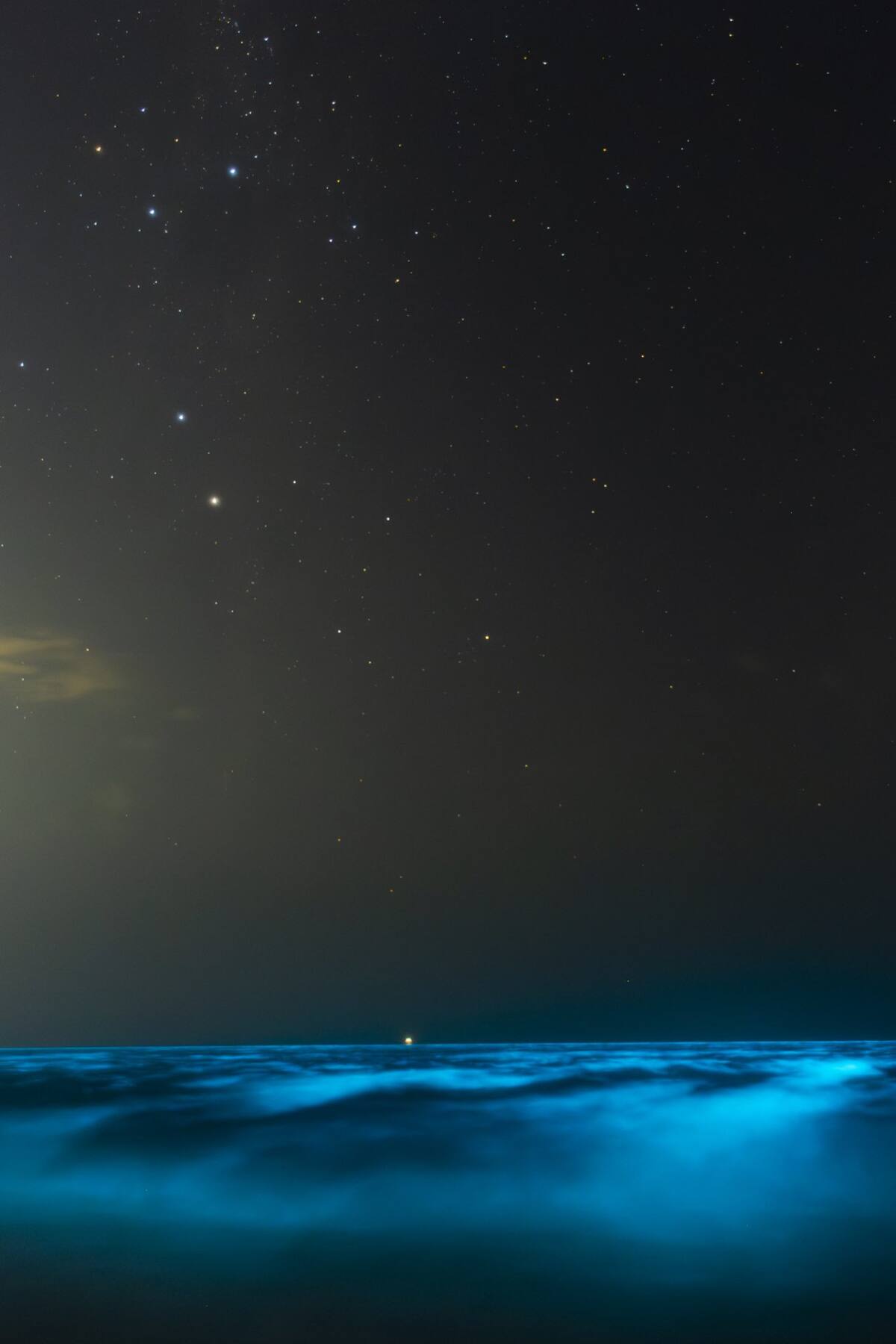 El mar se tiñó de celeste fluorescente en Uruguay. Foto X.
