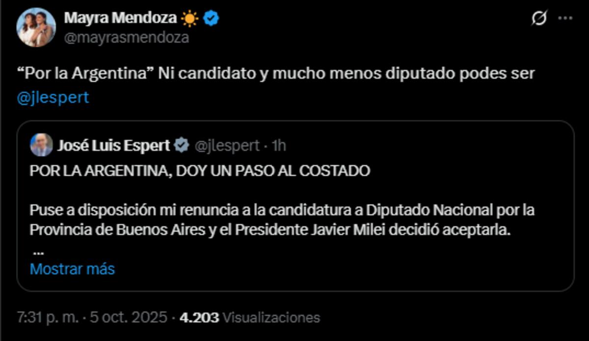 El mensaje de Mayra Mendoza tras la renuncia de Espert.