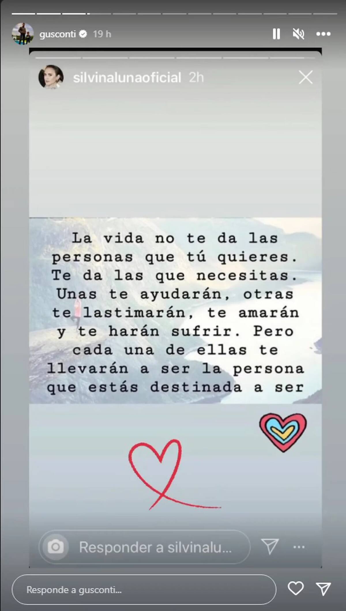 El mensaje de Silvina Luna que compartió Gustavo Conti. Foto: Instagram @gusconti