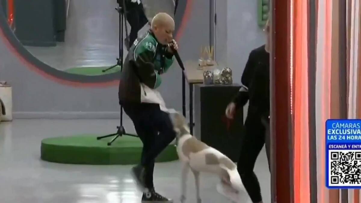 El momento en que Furia le pega una patada a Arturo. Foto: captura de video