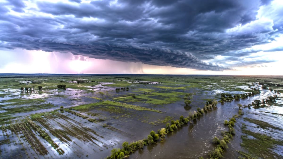 Alerta climática global: la ONU confirmó que El Niño será más fuerte y advirtió por riesgos en Argentina