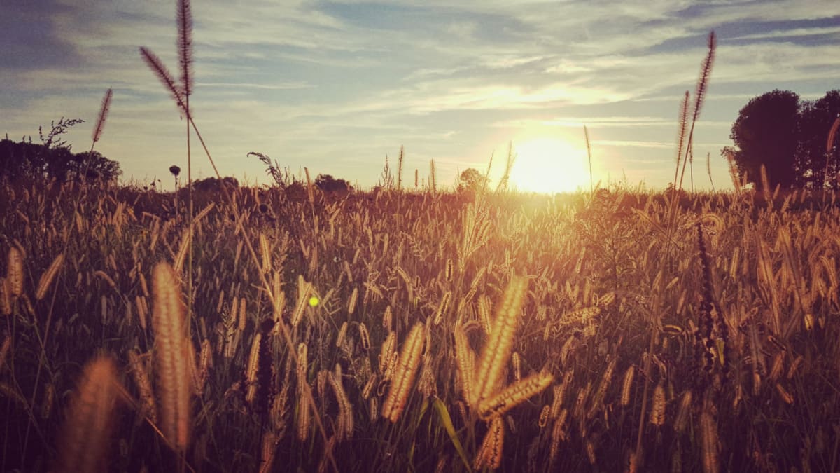 El Niño y los cambios de temperatura. Foto: Unsplash