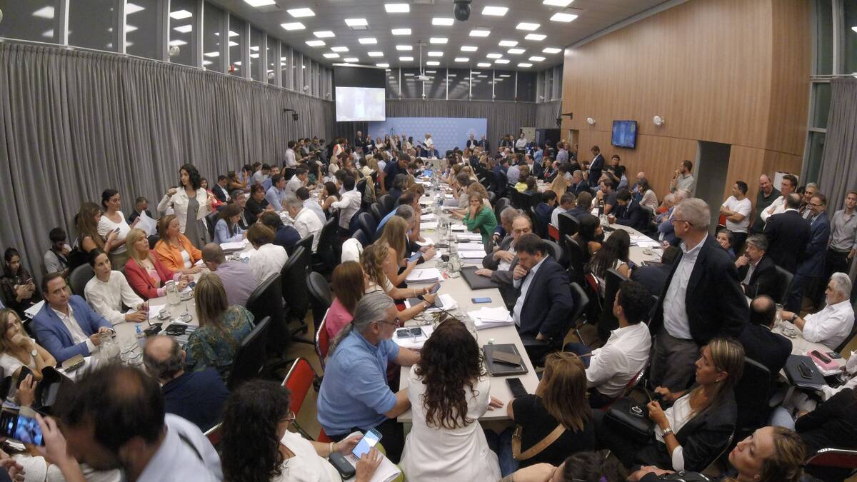 Ley Ómnibus en la Cámara de Diputados. Foto: NA
