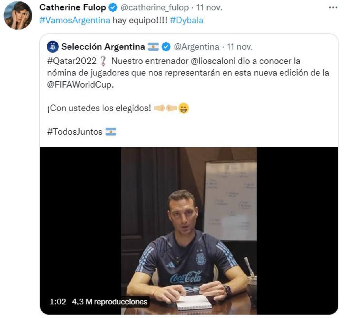 El posteo de Fulop. Foto: Twitter.