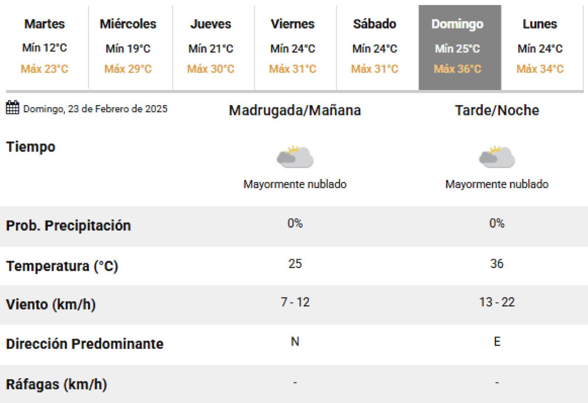 El próximo domingo vuelve el calor a la Ciudad de Buenos Aires. Foto: SMN.