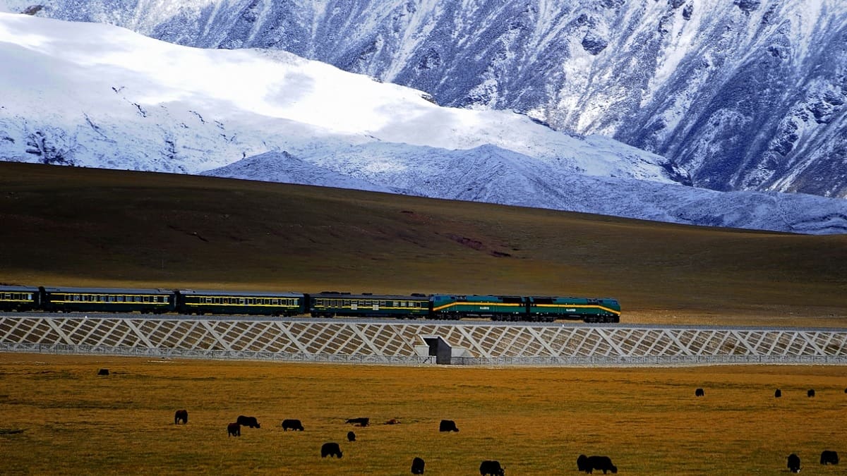 El proyecto ferroviario de China que rompió 4 récords mundiales con la construcción de un puente: así es Qinghai-Tíbet
