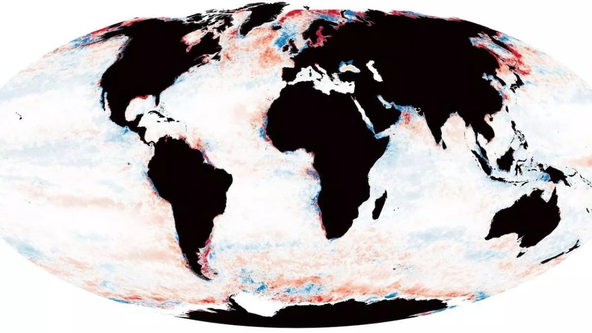 El rojo es donde se oscurece el mar y los azules son los que se aclaran. Foto: Universidad de Plymouth
