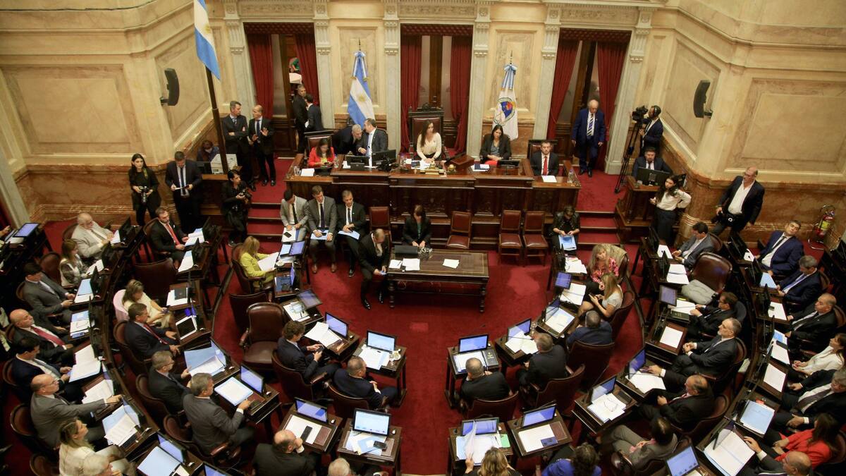 El Senado de la Nación inició la sesión especial en la que se discutirá el Decreto de Necesidad y Urgencia 70/2023. NA