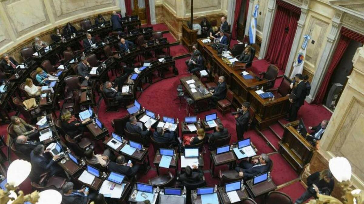El senado repudió el ataque a CFK_NA