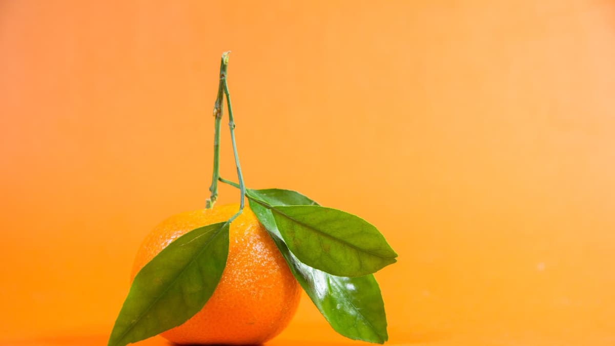 El superalimento que tiene diez veces más vitamina C que la naranja. Foto: Unsplash