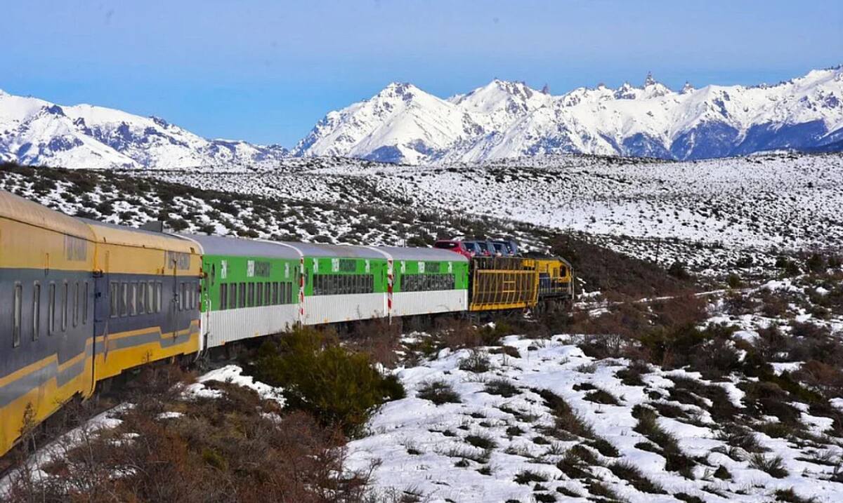 El Tren Patagónico. Foto: NA.