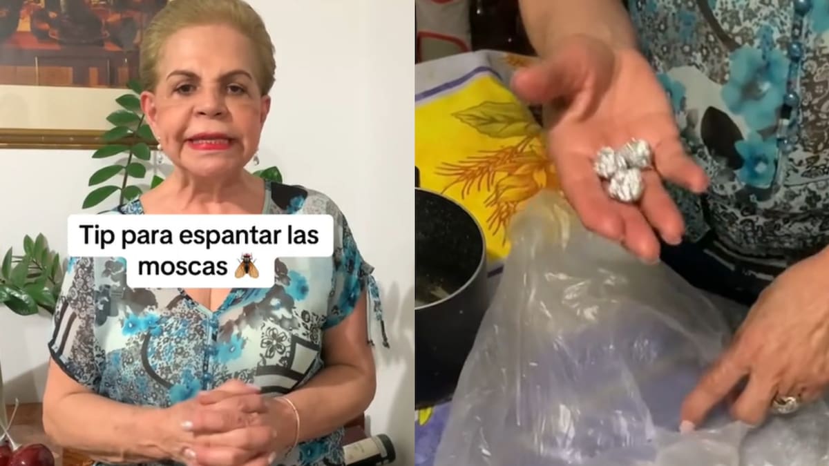 Ni insecticida ni vinagre: el truco con papel aluminio para ahuyentar las moscas
