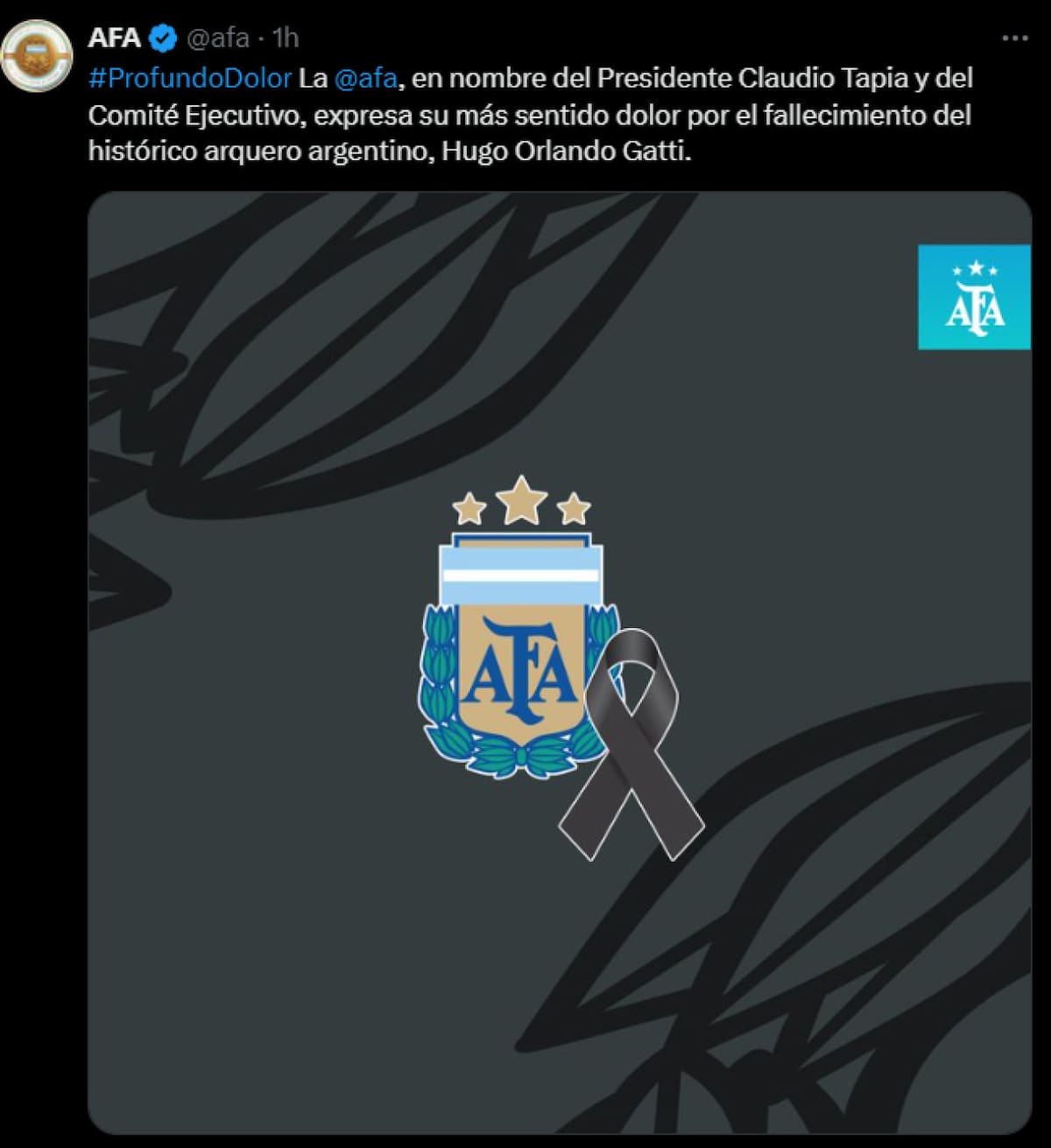 El último adiós al "Loco" Gatti. Foto: captura X