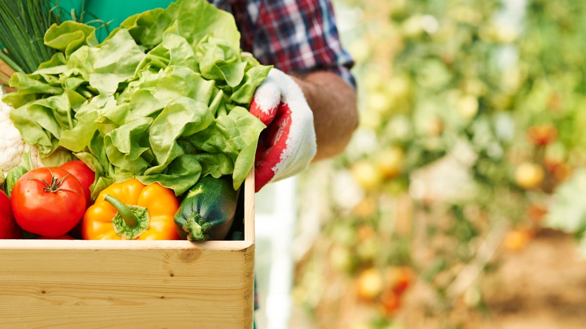 El único país del mundo 100% autosuficiente en alimentos está en Sudamérica: superó a China y Estados Unidos