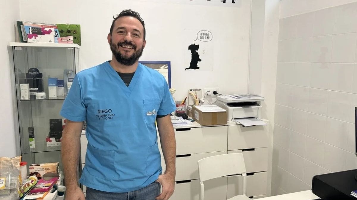 Diego Díaz, veterinario: “El gato para que no se aburra, necesita vivir en tres dimensiones, necesita estar en altura”
