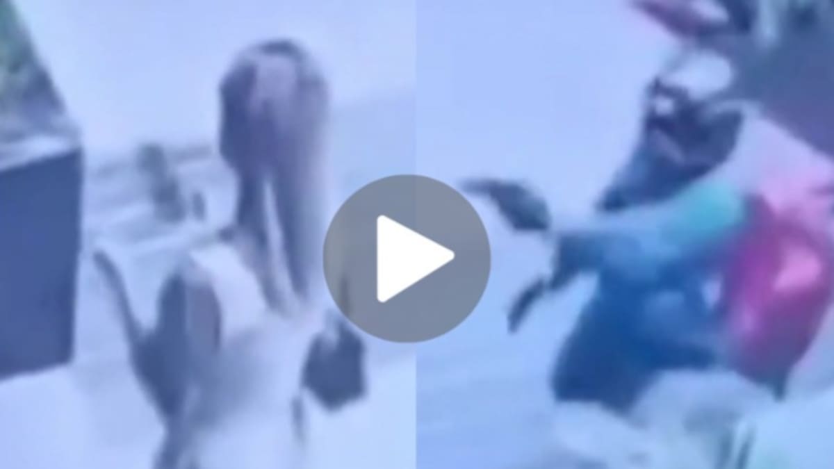 Impactante video: así fue el ataque a balazos a Nadia Beller por el que detuvieron a Fernando Cerimedo, exasesor de Milei