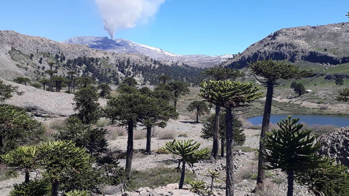 El volcán Copahue representará a la Argentina en un prestigioso certamen internacional de turismo de montaña