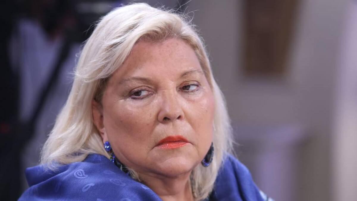 Elisa Carrió, NA