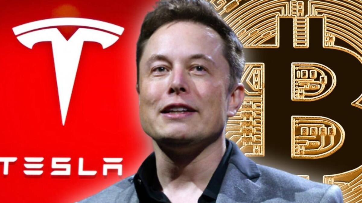 Elon Musk y los Bictoins, Economía.