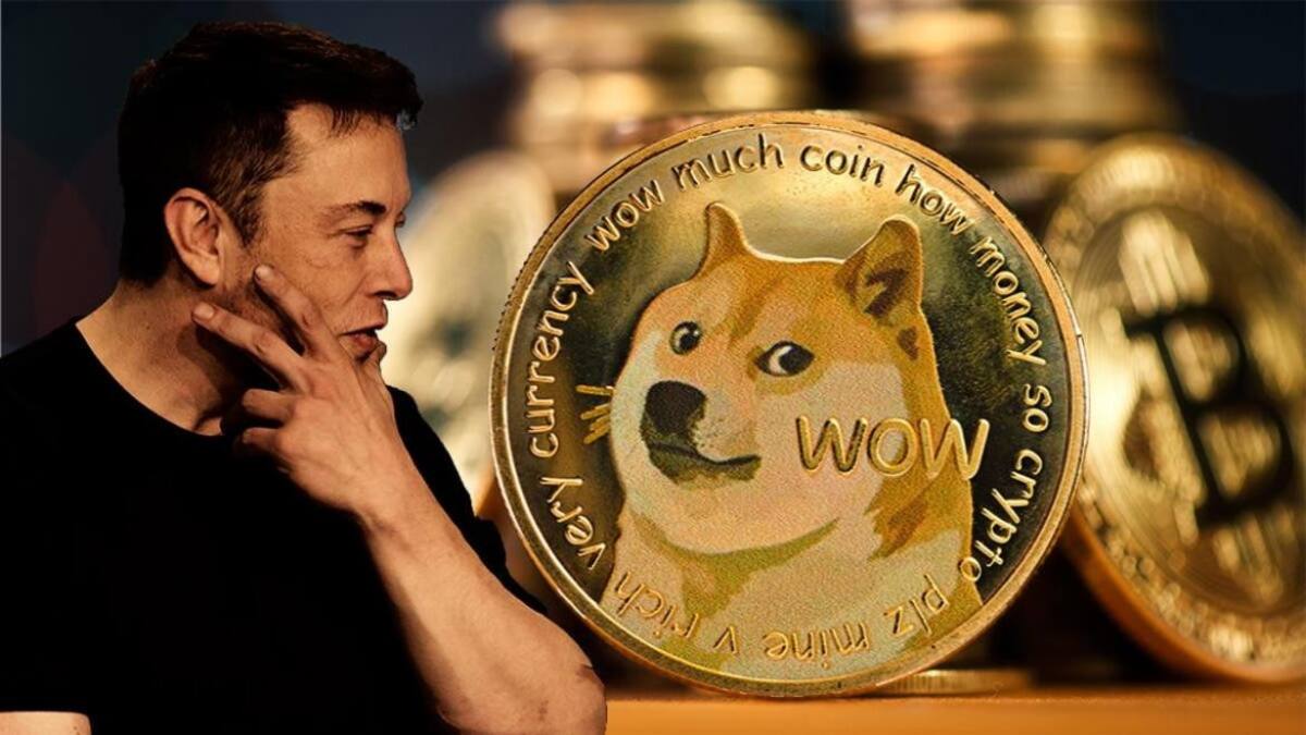 Elon Musk y los Dogecoins, Economía.