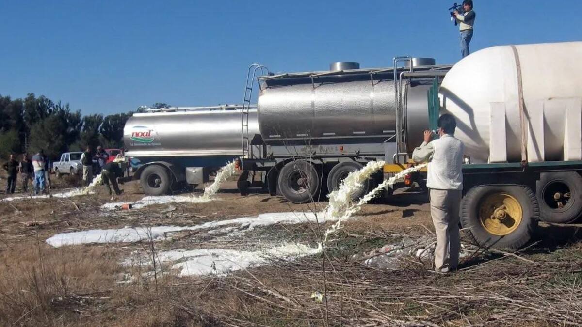 Empresas lácteas prefirieron tirar la leche excedente, NA