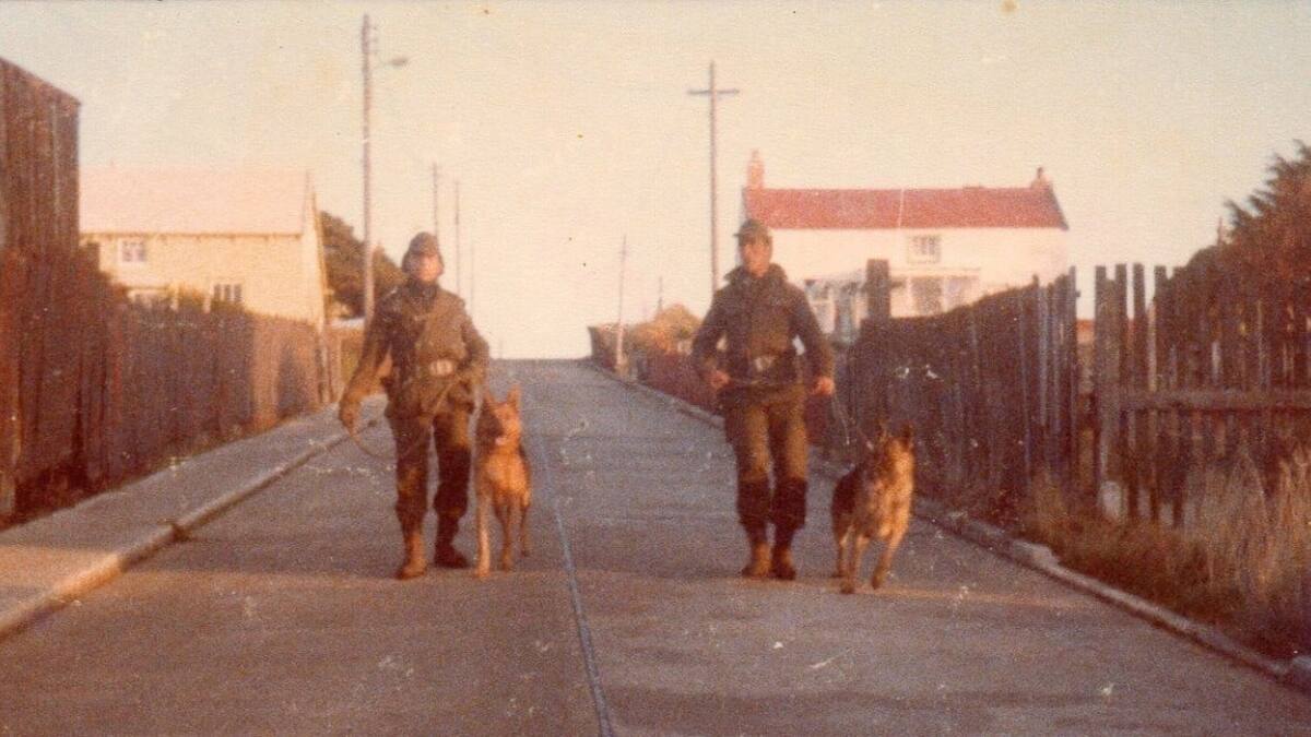 En la Guerra de Malvinas también hubieron héroes de cuatro patas
