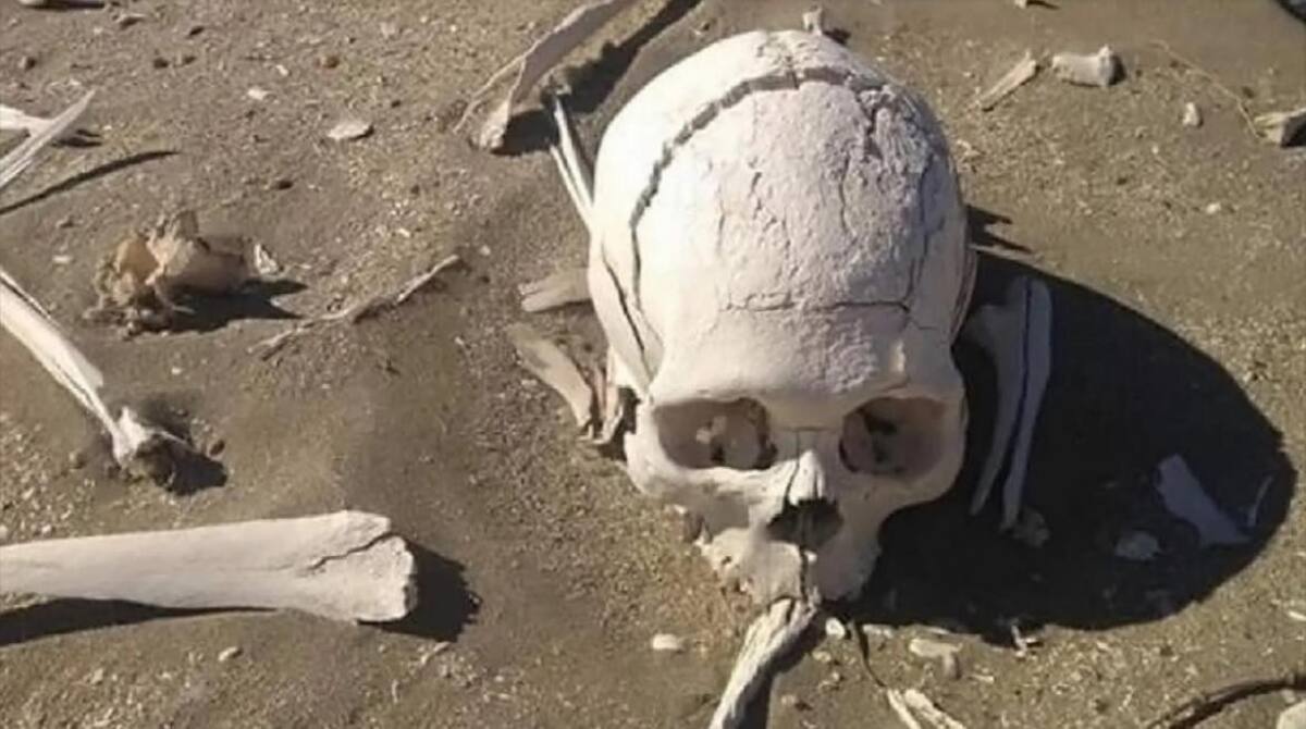 Encuentran bolsa con huesos en Chubut