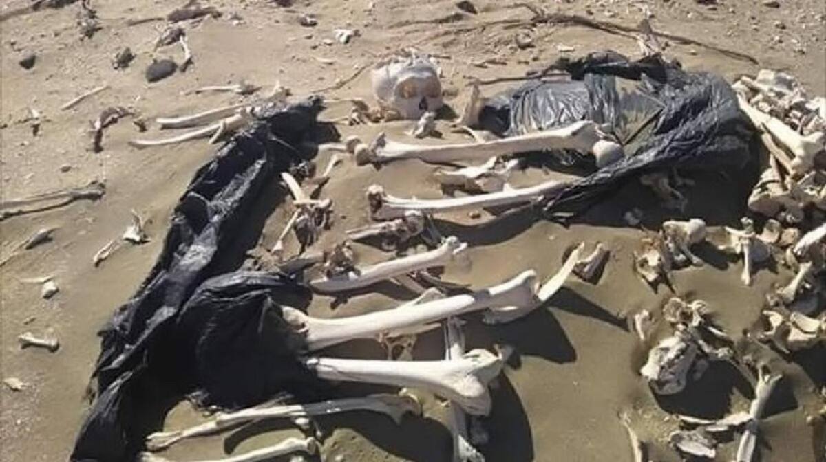 Encuentran bolsa con huesos en Chubut