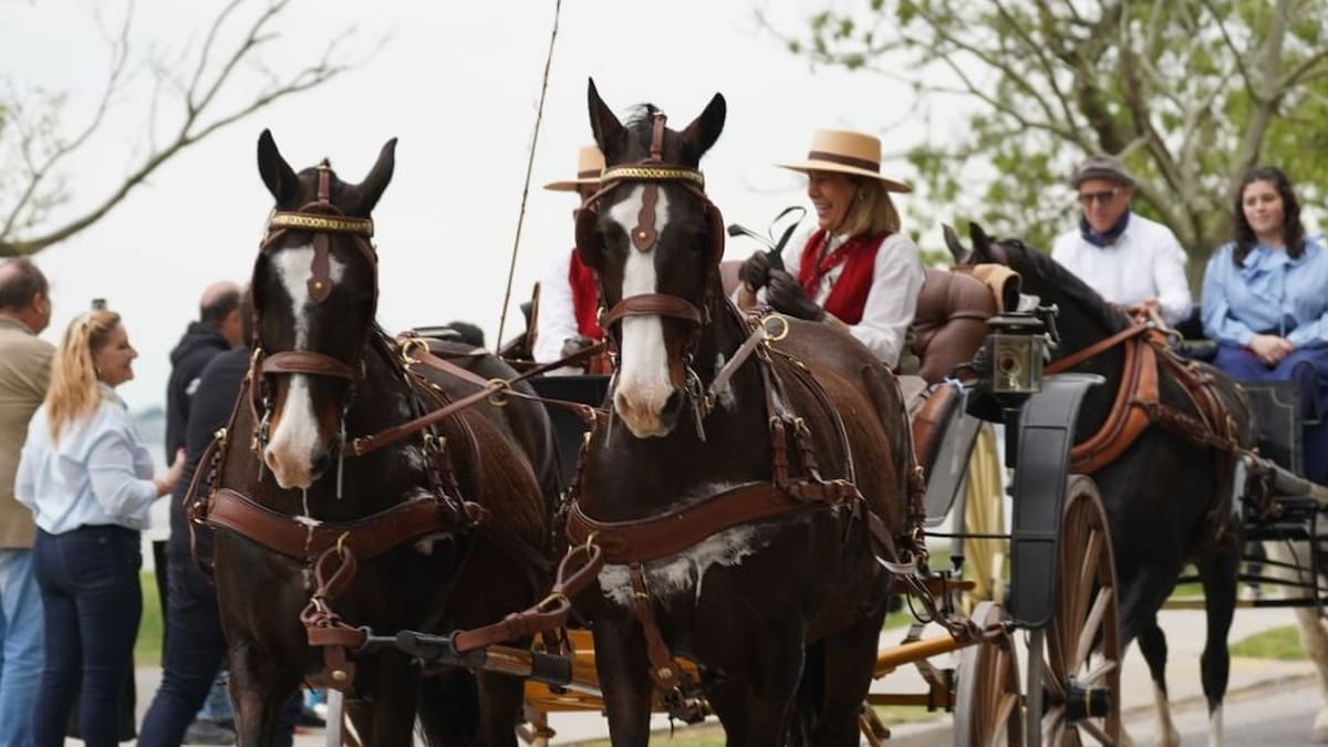 Llega la fiesta del Encuentro del Carruaje y el Caballo: jineteadas, patrimonio argentino y tradiciones rurales para toda la familia