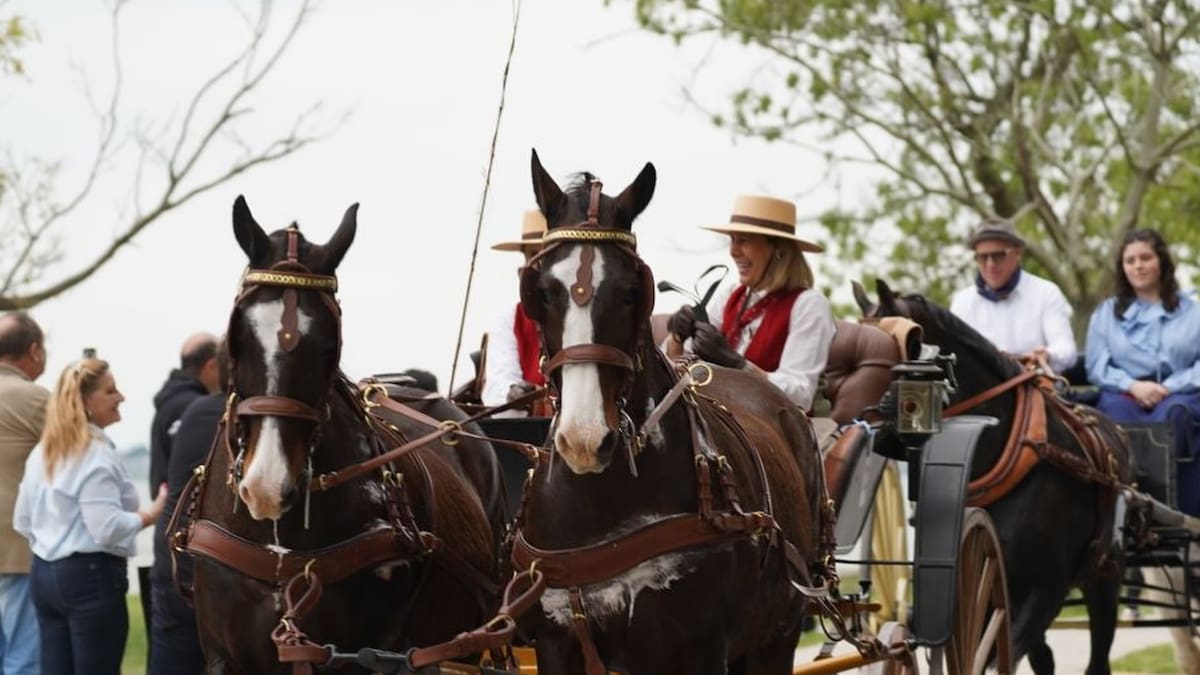 Llega la fiesta del Encuentro del Carruaje y el Caballo: jineateadas, patrimonio argentino y tradiciones rurales para toda la familia