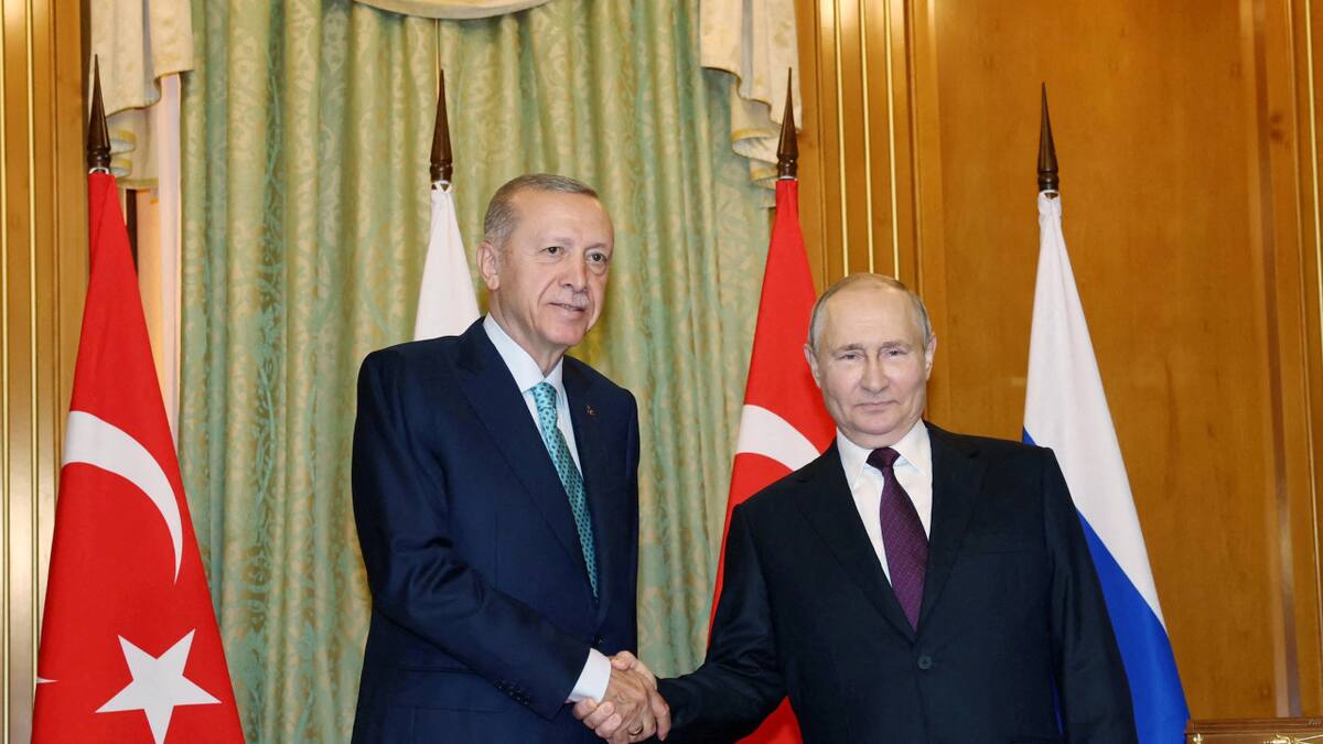 Encuentro entre Erdogan y Putin. Foto: Reuters.