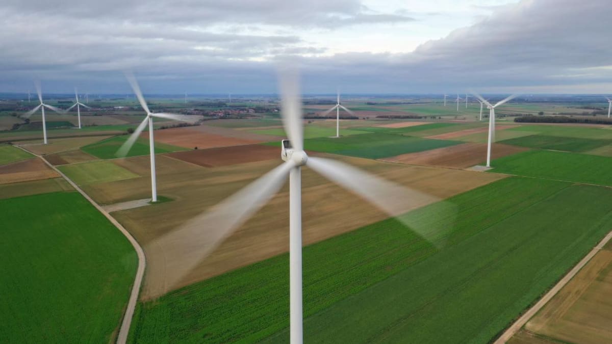 Energía eólica. Foto: Reuters.
