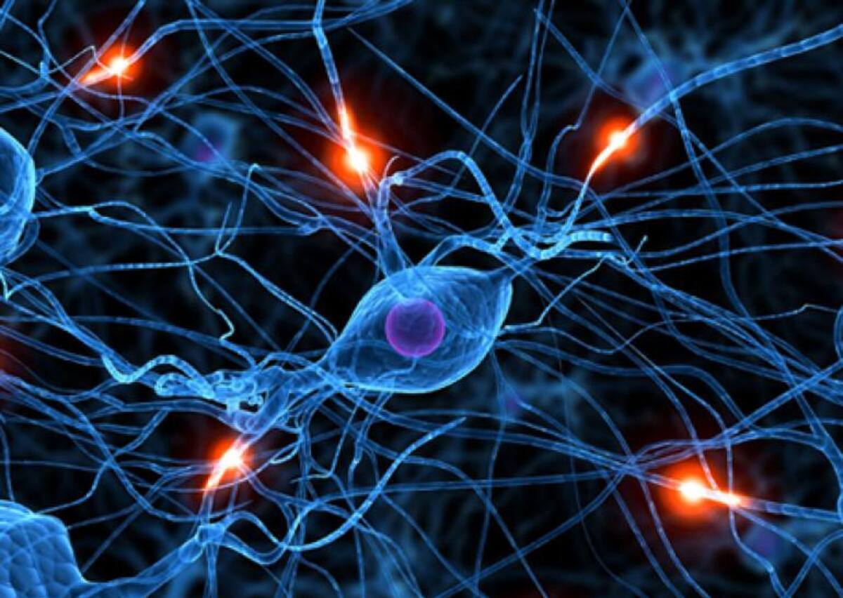 Enfermedades neurodegenerativas