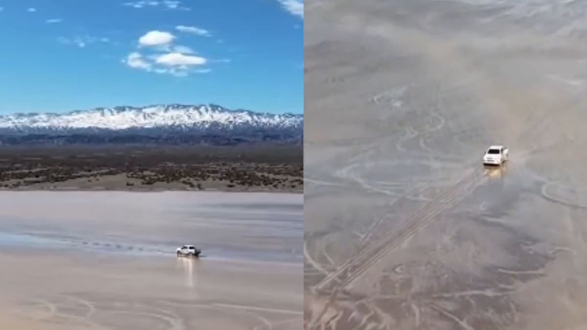 Entró con su camioneta a una zona protegida en San Juan y provocó un grave daño ambiental que tardaría 100 años en recuperarse