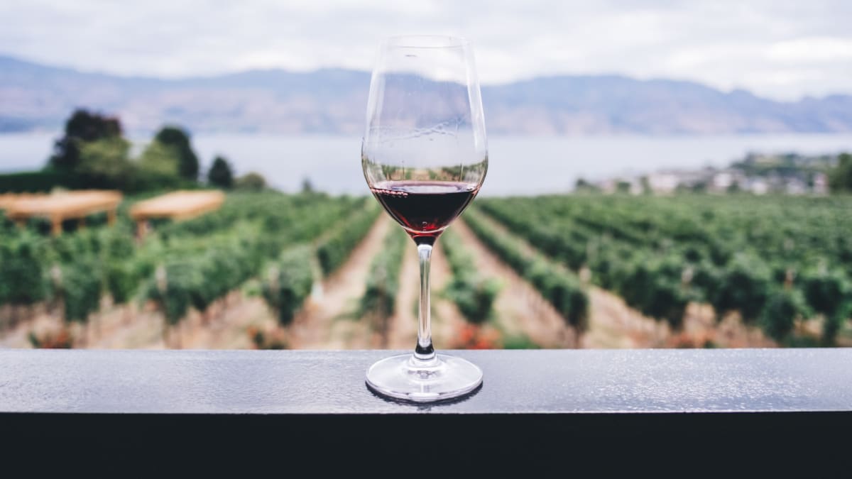 Escapadas a Bodegas- imagen ilustrativa - foto: @unsplash
