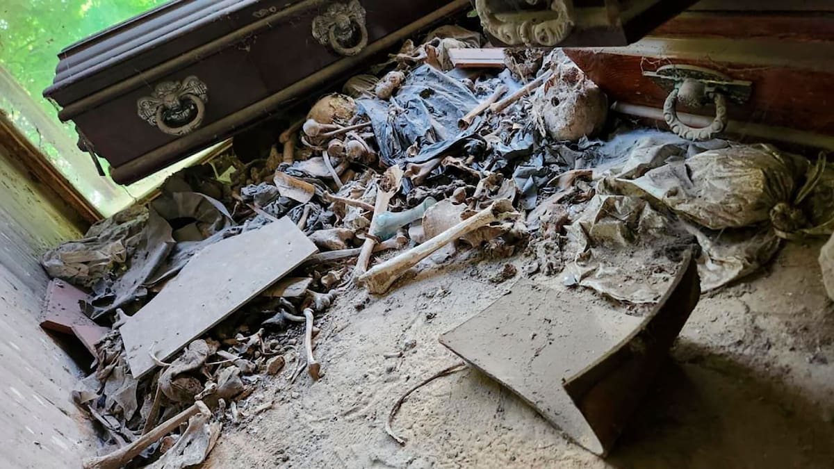 Espeluznante hallazgo en cementerio de La Plata. Foto: X.