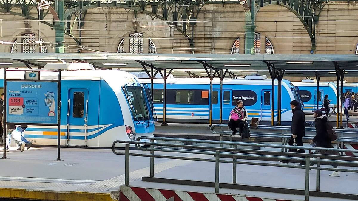 Estación de trenes de Retiro. Foto: NA/Damián Dopacio