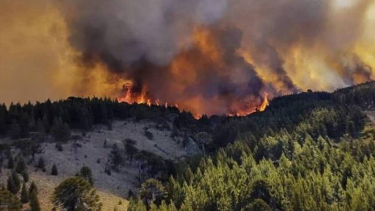 Estado de emergencia agropecuaria en Misiones, Córdoba y Mendoza
