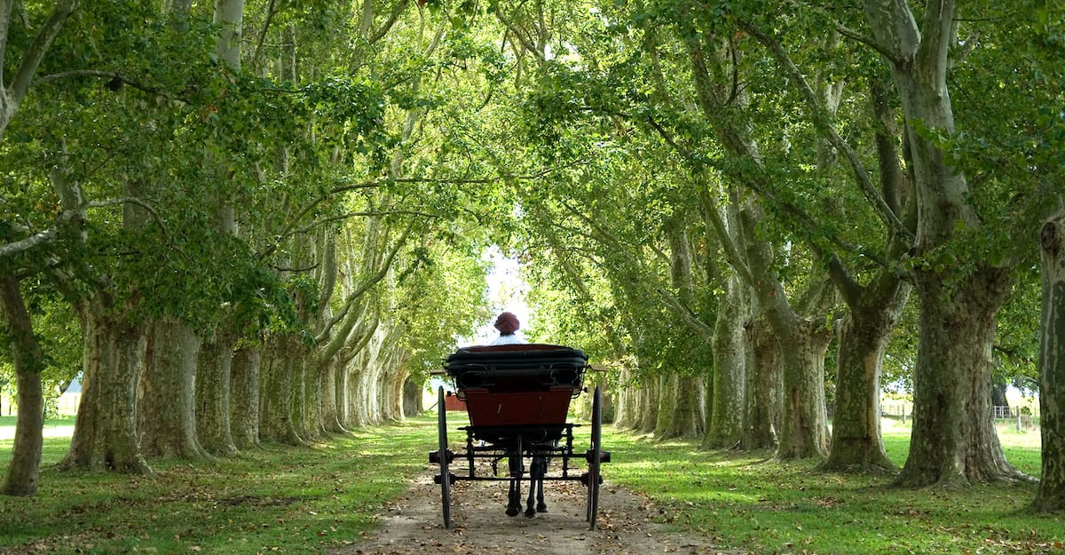 Estancia La Bamba de Areco.