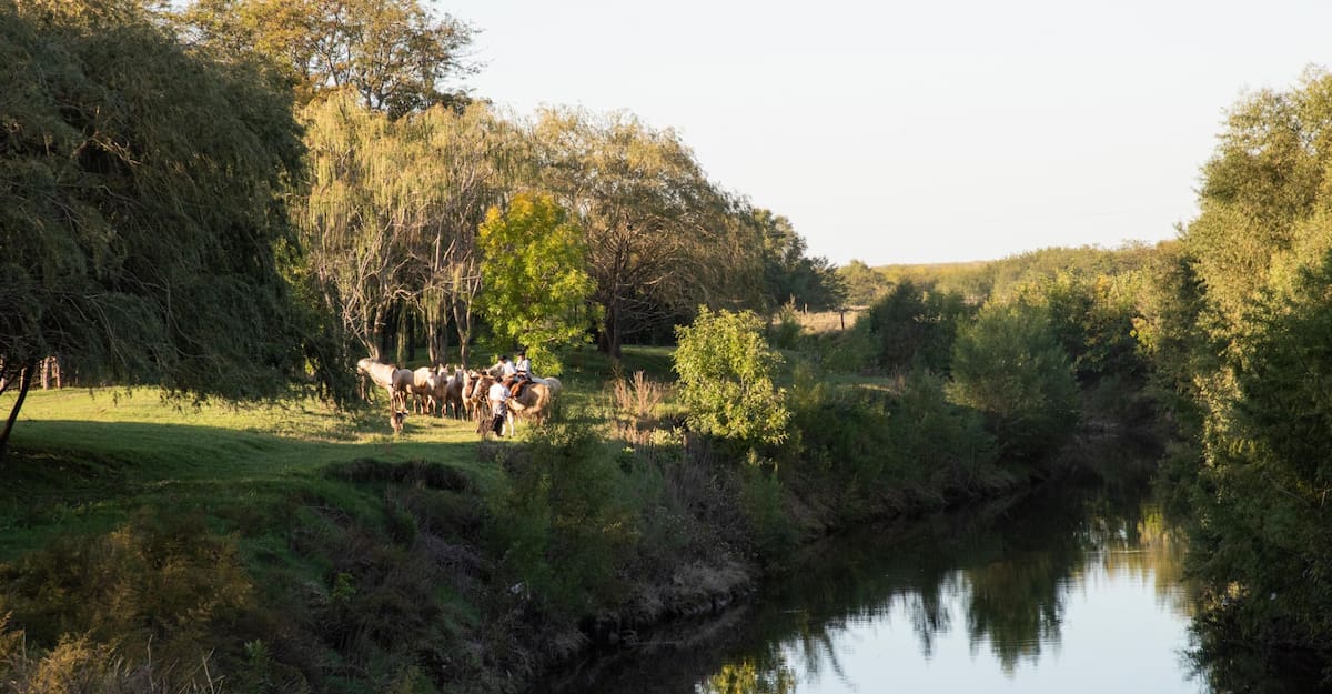 Estancia La Bamba de Areco.