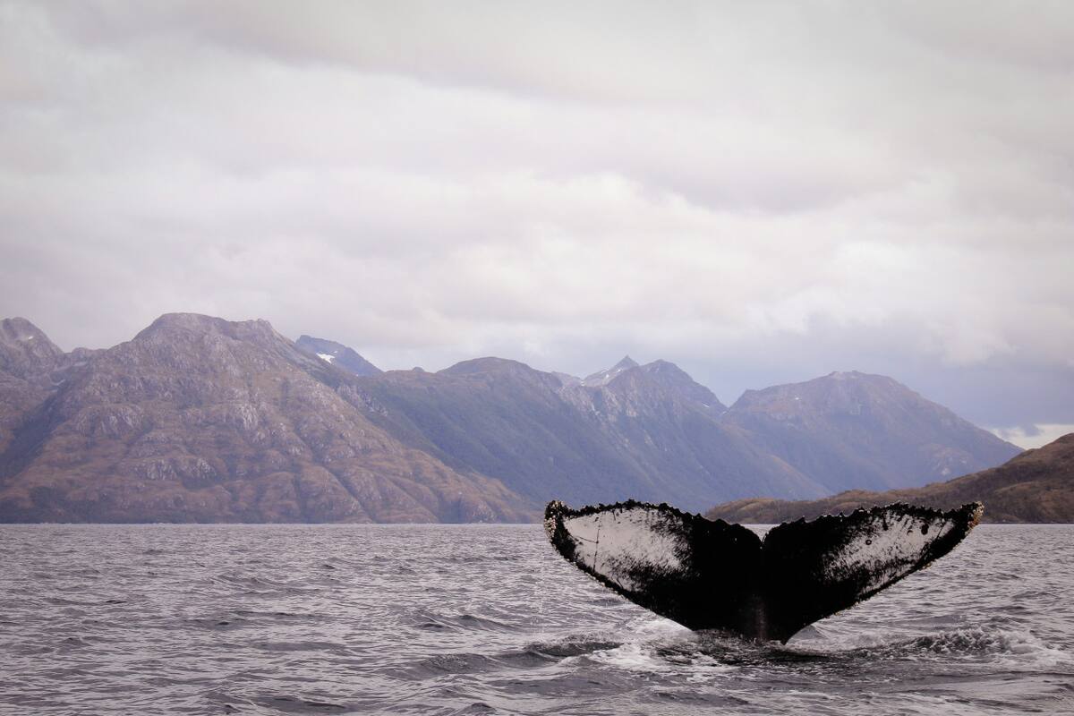 Estrecho de Magallanes. Foto: Unsplash.